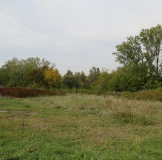terreno agricolo in vendita a Riva del Po in zona Berra