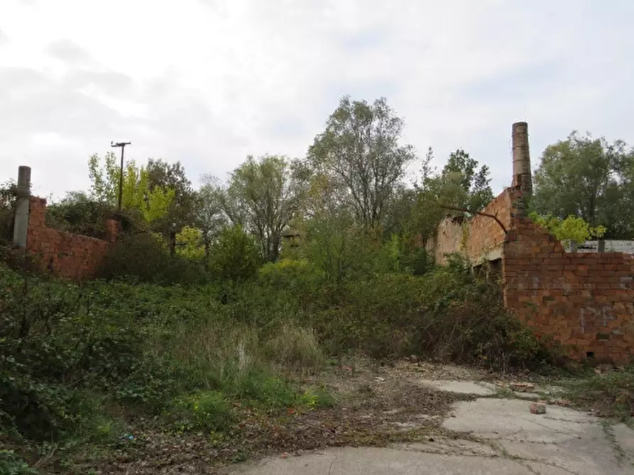 terreno agricolo in vendita a Riva del Po in zona Berra