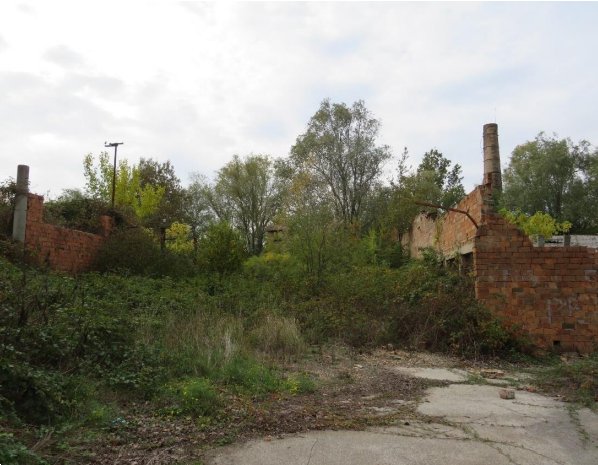 terreno agricolo in vendita a Riva del Po in zona Berra