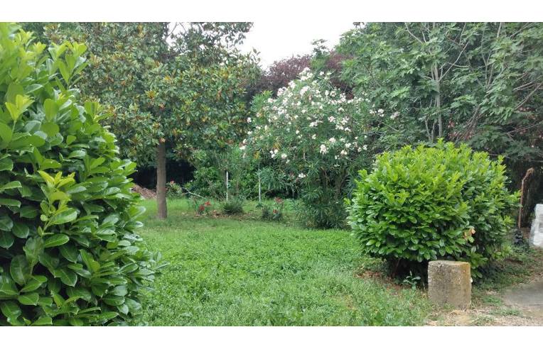 casa indipendente in vendita a Riva del Po