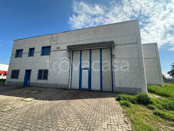 appartamento in vendita a Tresignana in zona Tresigallo