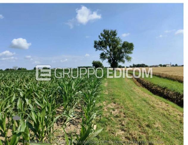 terreno agricolo in vendita a Tresignana in zona Tresigallo