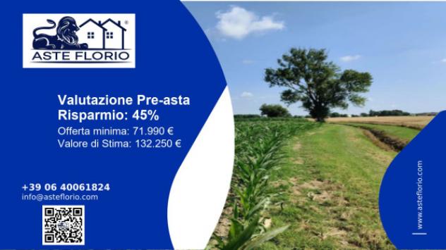terreno agricolo in vendita a Tresignana in zona Tresigallo