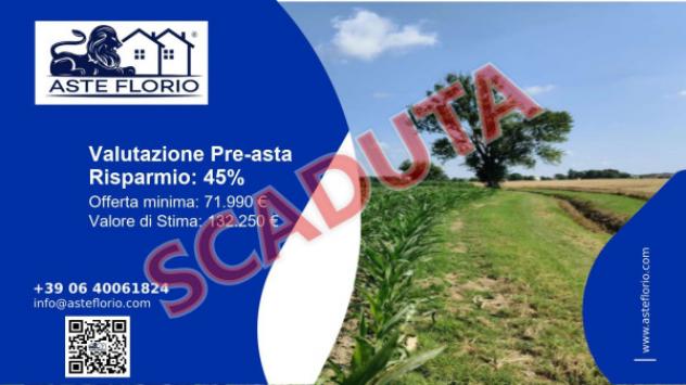 terreno agricolo in vendita a Tresignana in zona Tresigallo