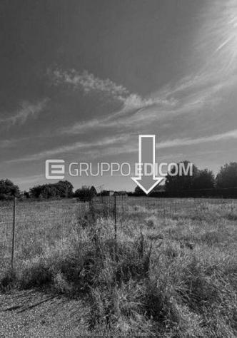 terreno agricolo in vendita a Tresignana