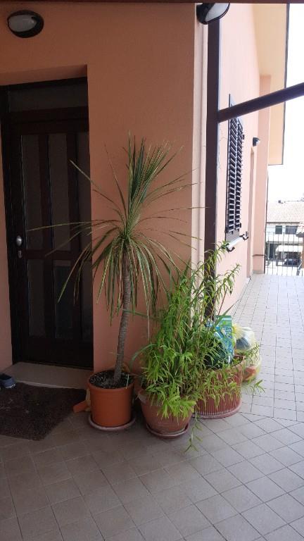 appartamento in vendita ad Alfonsine
