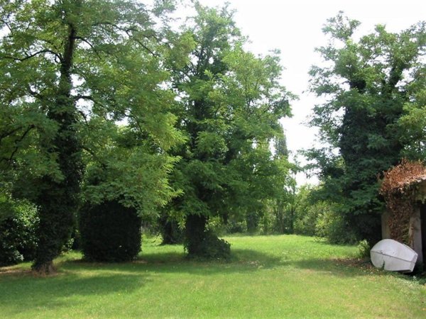 terreno edificabile in vendita ad Alfonsine