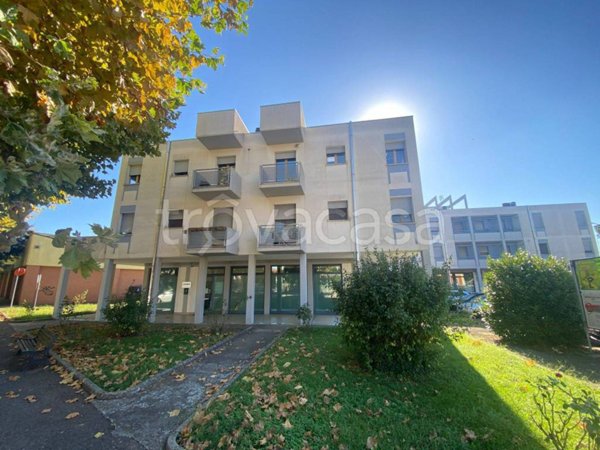 appartamento in vendita ad Alfonsine