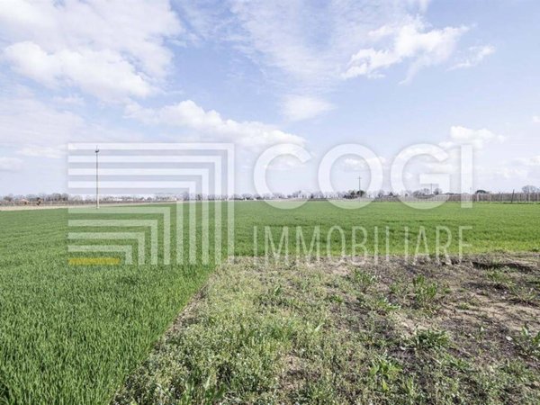terreno agricolo in vendita a Bagnacavallo