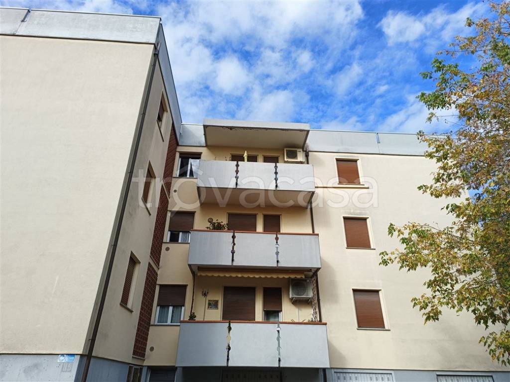 appartamento in vendita a Bagnacavallo