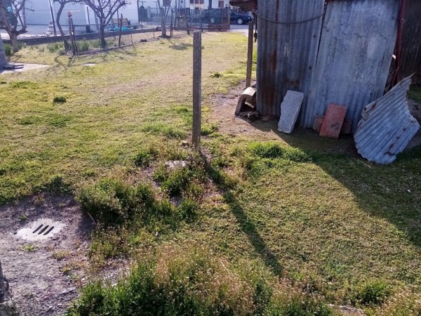 esavano in vendita a Bagnacavallo in zona Glorie