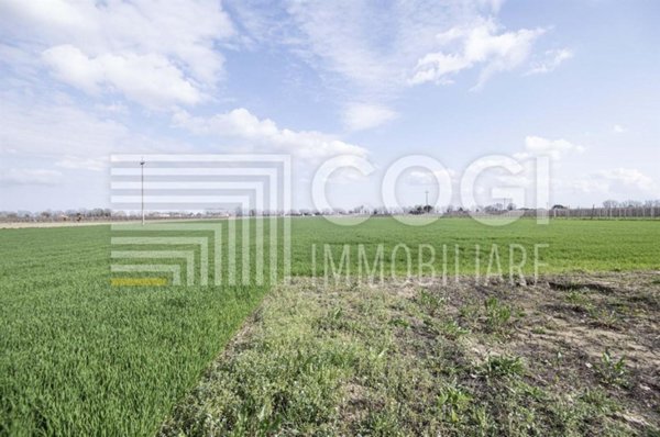 terreno agricolo in vendita a Bagnacavallo