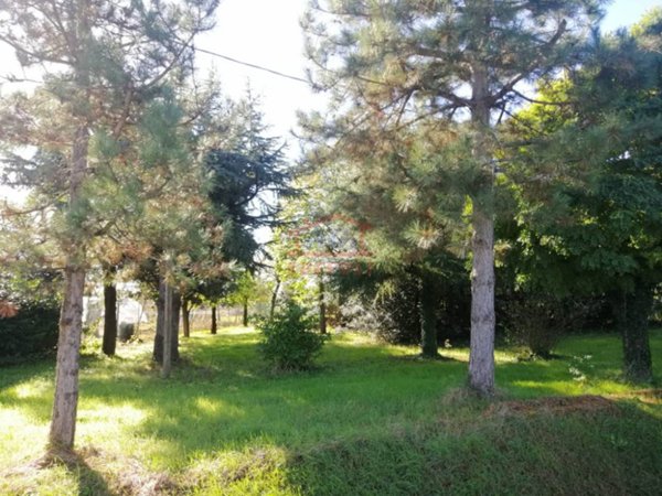 casa indipendente in vendita a Bagnacavallo