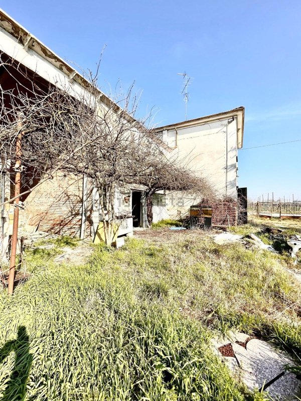 casa indipendente in vendita a Bagnacavallo