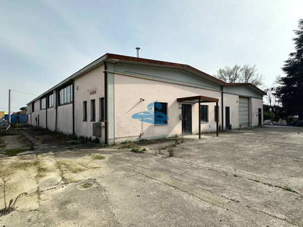 locale commerciale in vendita a Bagnacavallo