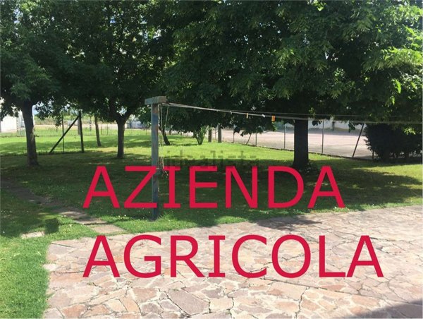 casa indipendente in vendita a Bagnacavallo