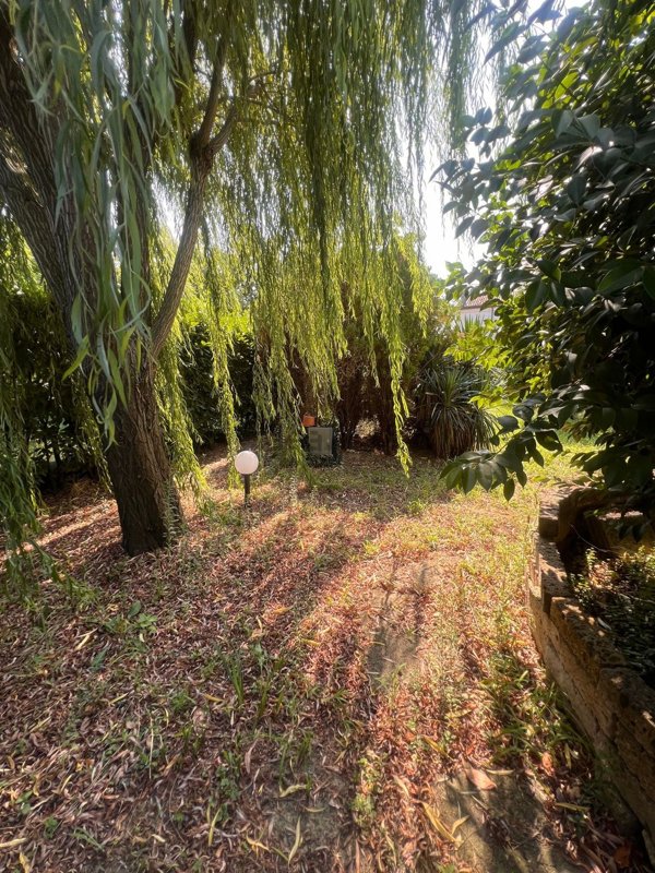 casa indipendente in vendita a Bagnacavallo in zona Rossetta