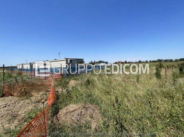 terreno agricolo in vendita a Bagnacavallo