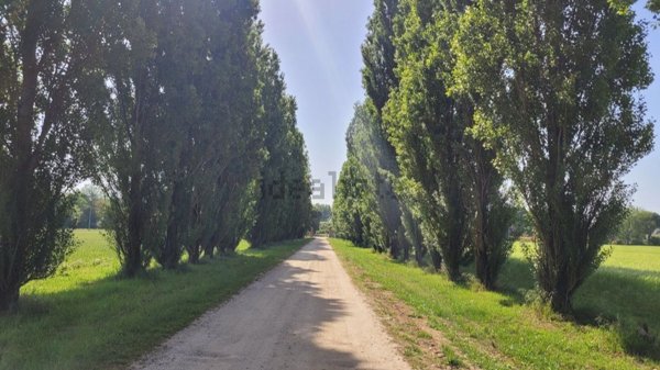 casa indipendente in vendita a Bagnacavallo