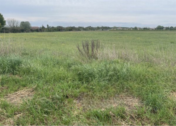 terreno edificabile in vendita a Bagnacavallo