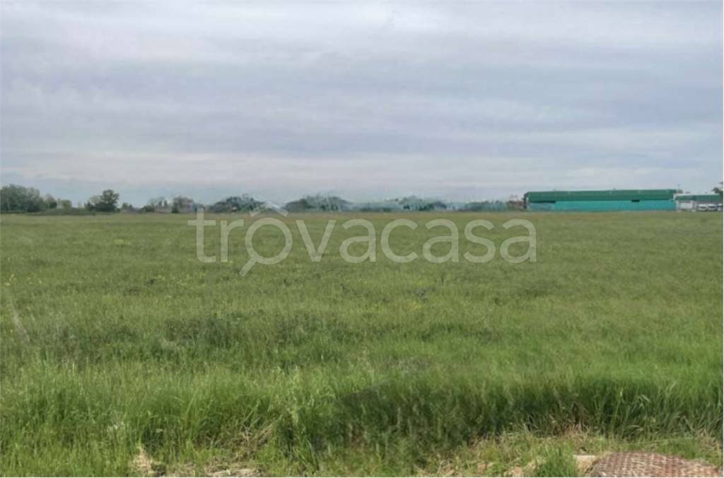 appartamento in vendita a Bagnacavallo