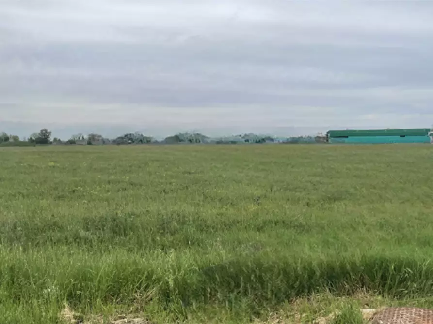 terreno edificabile in vendita a Bagnacavallo