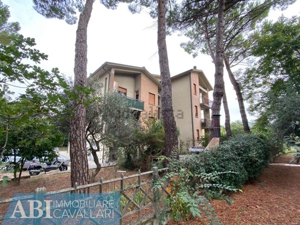 appartamento in vendita a Bagnacavallo