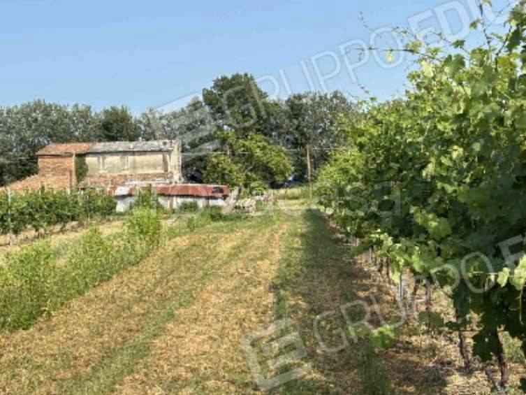 casa indipendente in vendita a Bagnacavallo