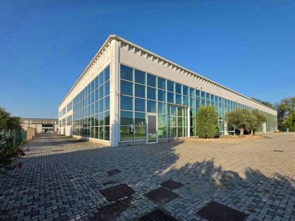 locale commerciale in vendita a Bagnacavallo
