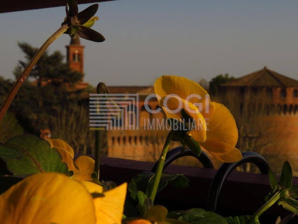 appartamento in vendita a Bagnara di Romagna