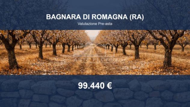 terreno edificabile in vendita a Bagnara di Romagna
