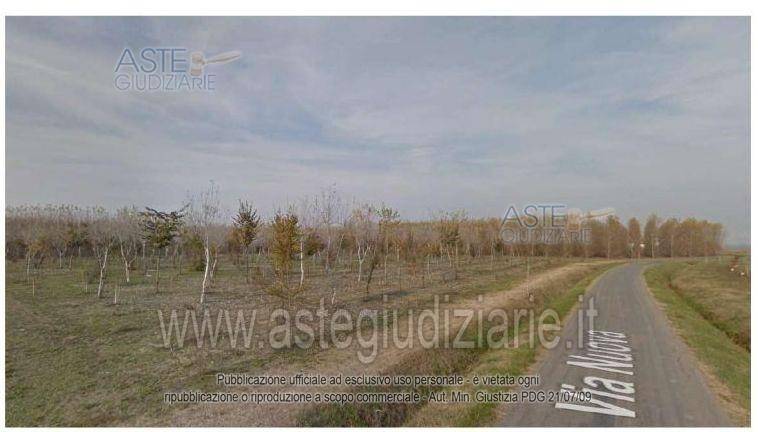 terreno edificabile in vendita a Bagnara di Romagna