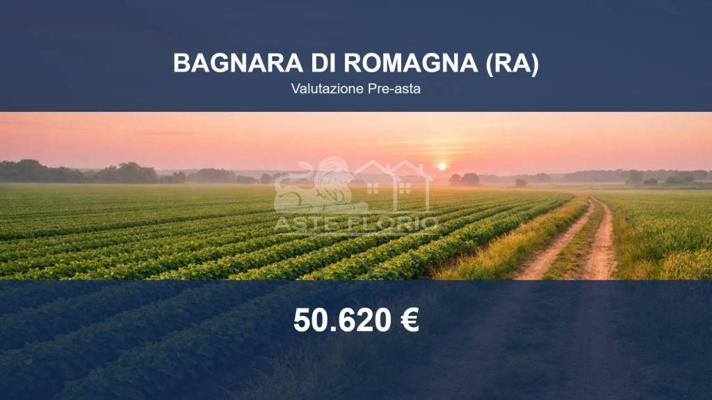 terreno edificabile in vendita a Bagnara di Romagna