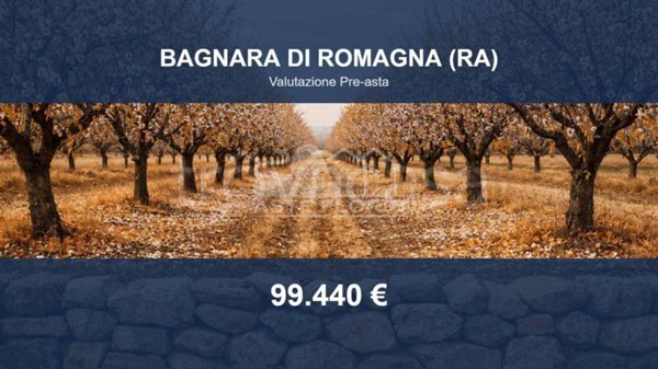terreno agricolo in vendita a Bagnara di Romagna
