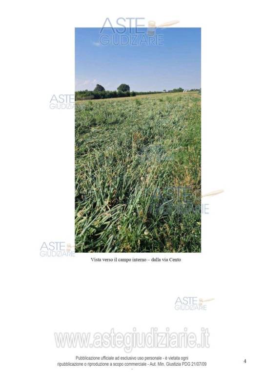 terreno agricolo in vendita a Bagnara di Romagna