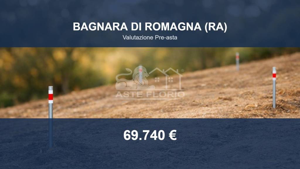 terreno agricolo in vendita a Bagnara di Romagna