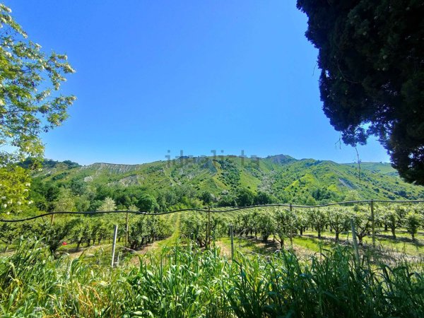 appartamento in vendita a Brisighella
