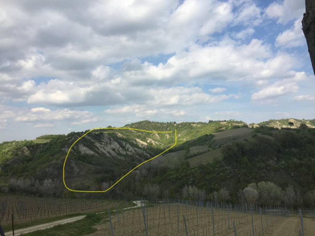 terreno agricolo in vendita a Brisighella