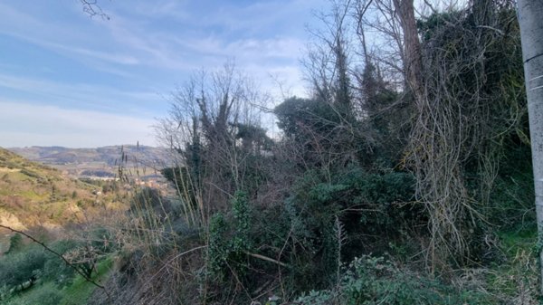 terreno agricolo in vendita a Brisighella in zona Fognano