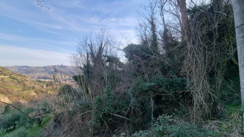 terreno agricolo in vendita a Brisighella in zona Fognano
