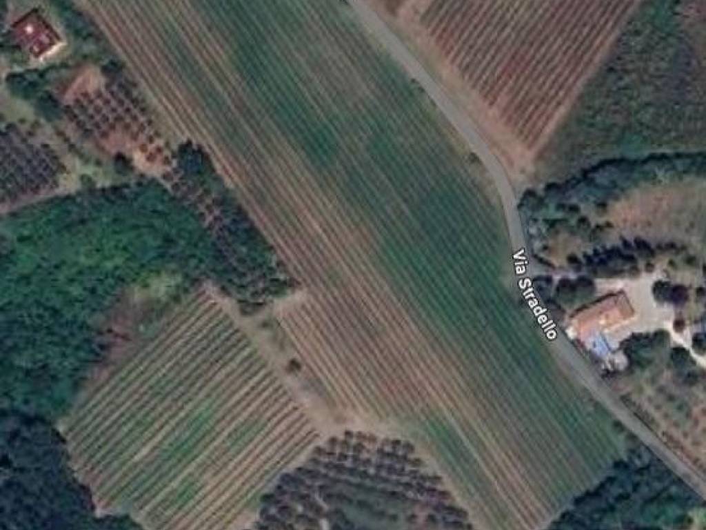 terreno agricolo in vendita a Brisighella