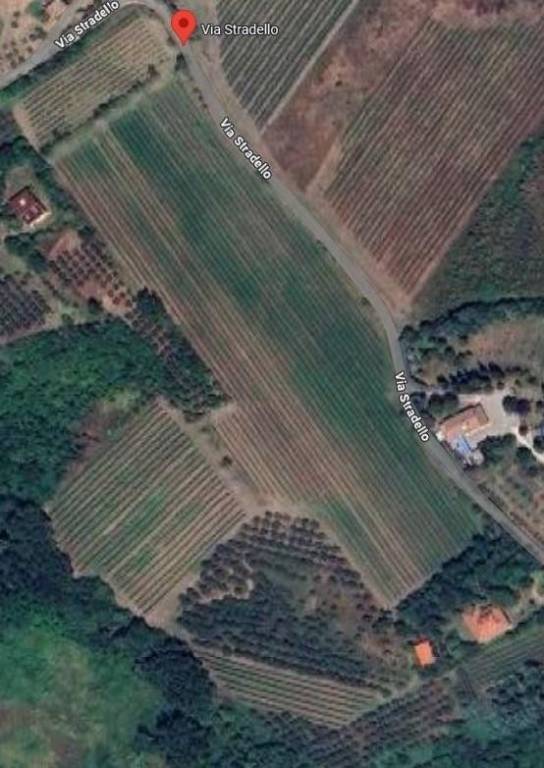 terreno agricolo in vendita a Brisighella