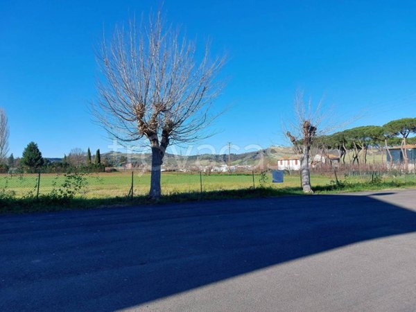 terreno agricolo in vendita a Brisighella