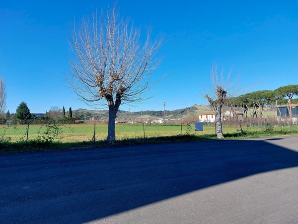 terreno agricolo in vendita a Brisighella