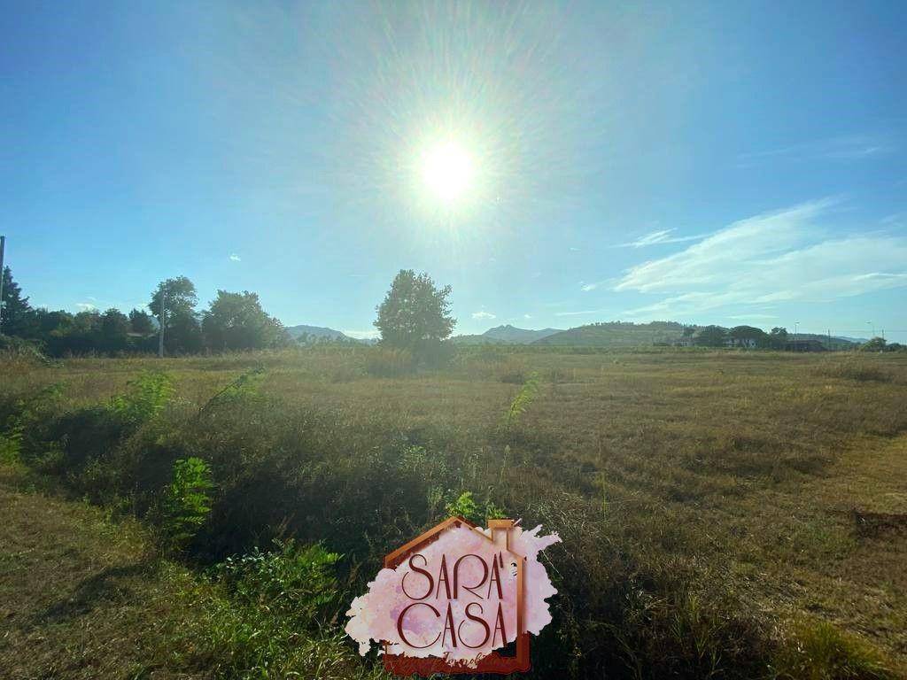 terreno agricolo in vendita a Brisighella