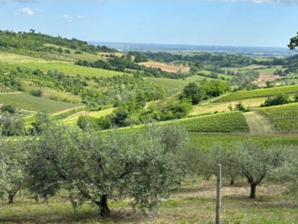 casa indipendente in vendita a Brisighella in zona Casale