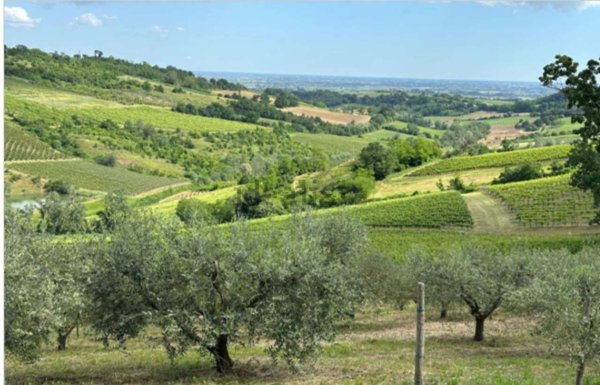 pentavano in vendita a Brisighella