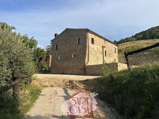 esavano in vendita a Brisighella