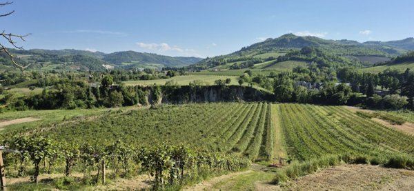 casale in vendita a Brisighella