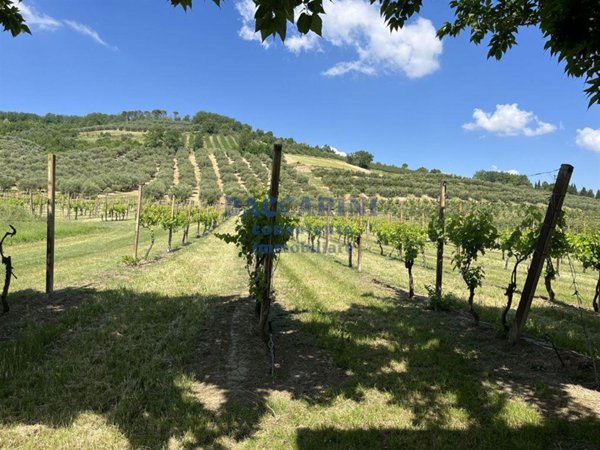 terreno agricolo in vendita a Brisighella